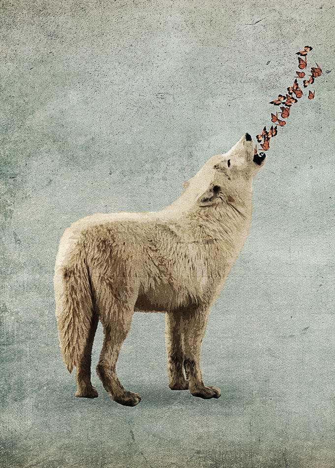 Howl