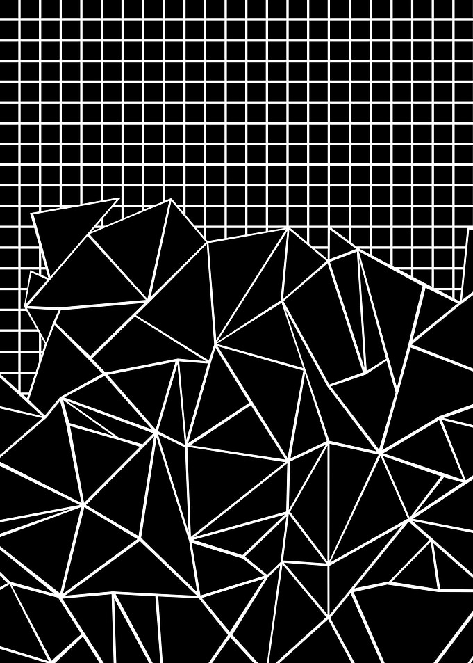 Abstraction Grid White on Black Portrait
