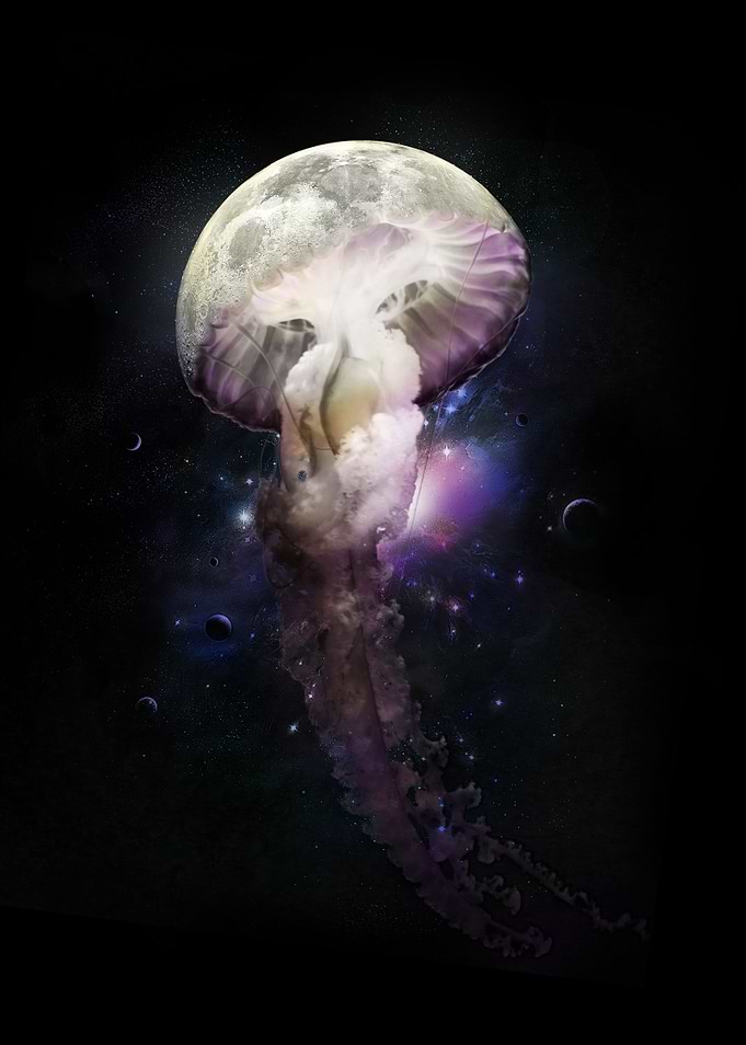 Cosmic Anomaly