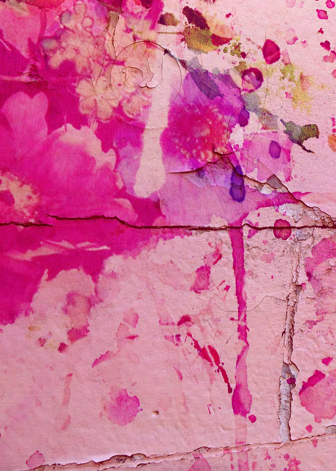 floral on pink wall