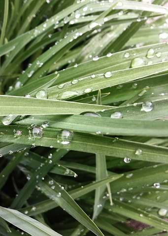 Droplets