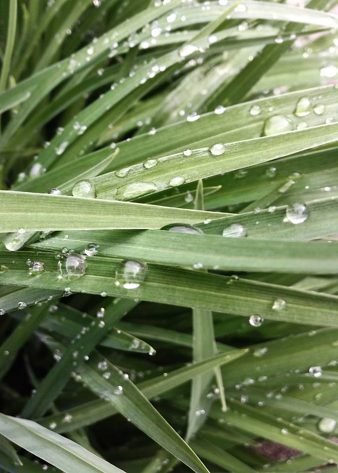 Droplets