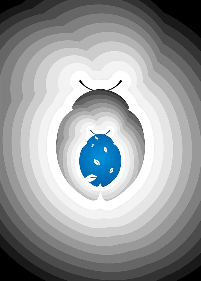 Lady Bug