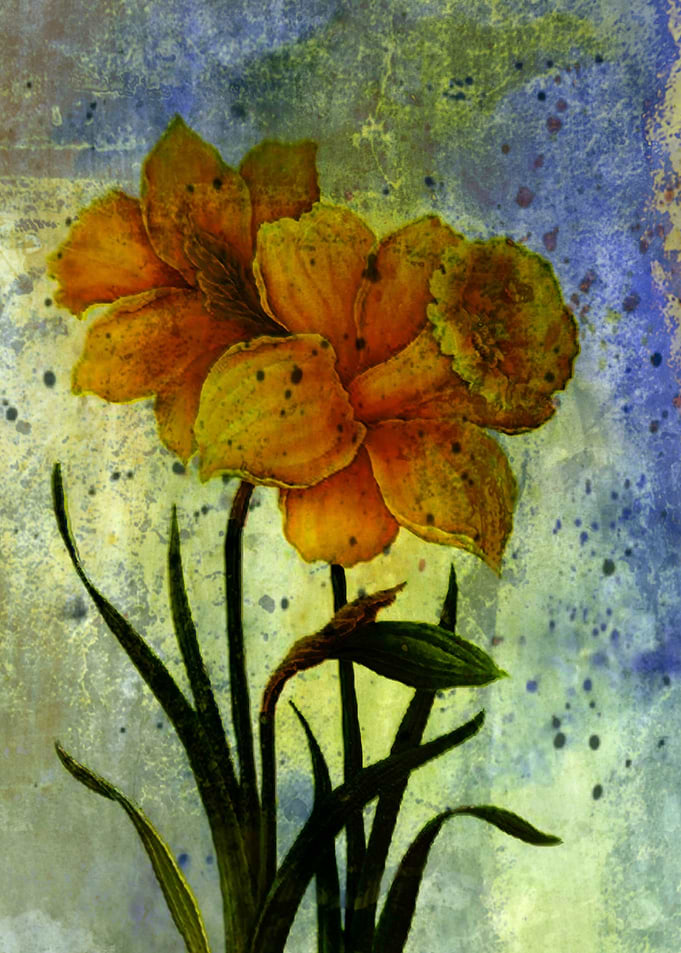daffodils with atmosphere