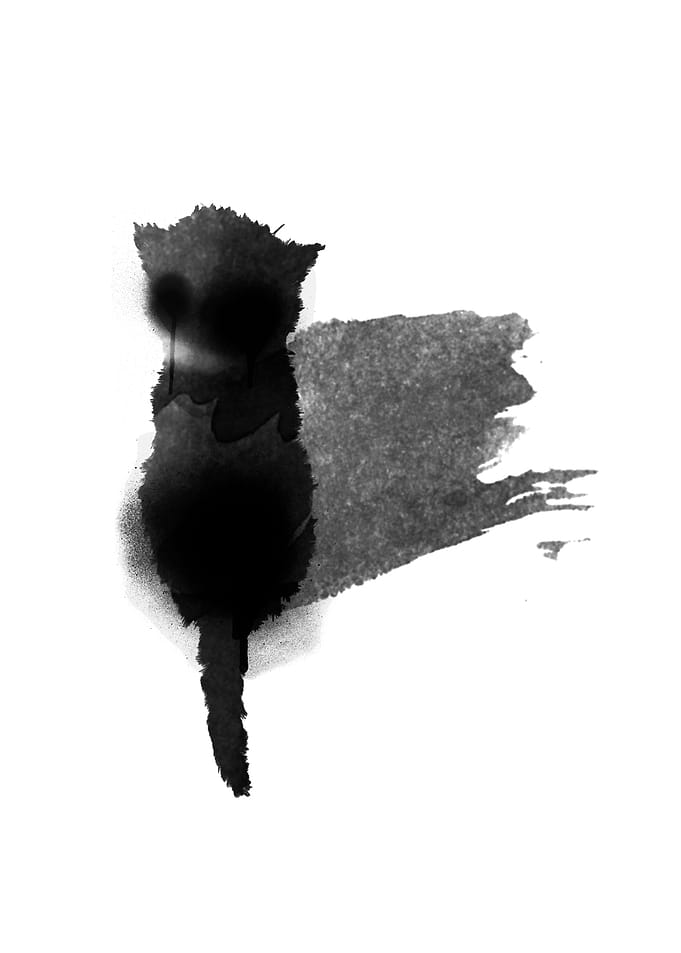 little kitty