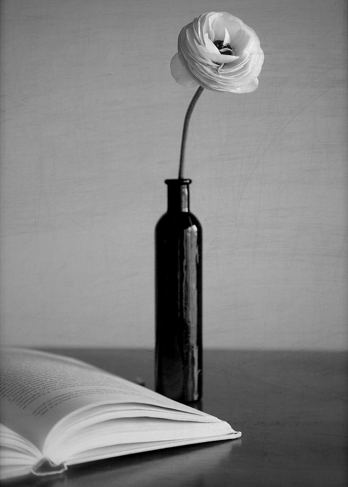 Ranunculus solitary