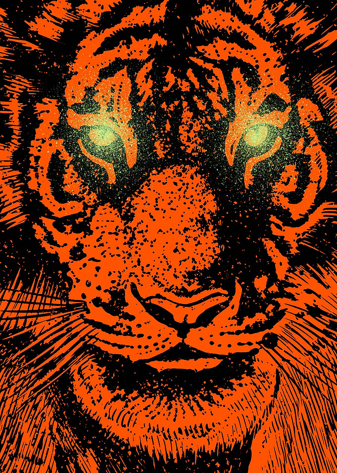 Stare tiger head