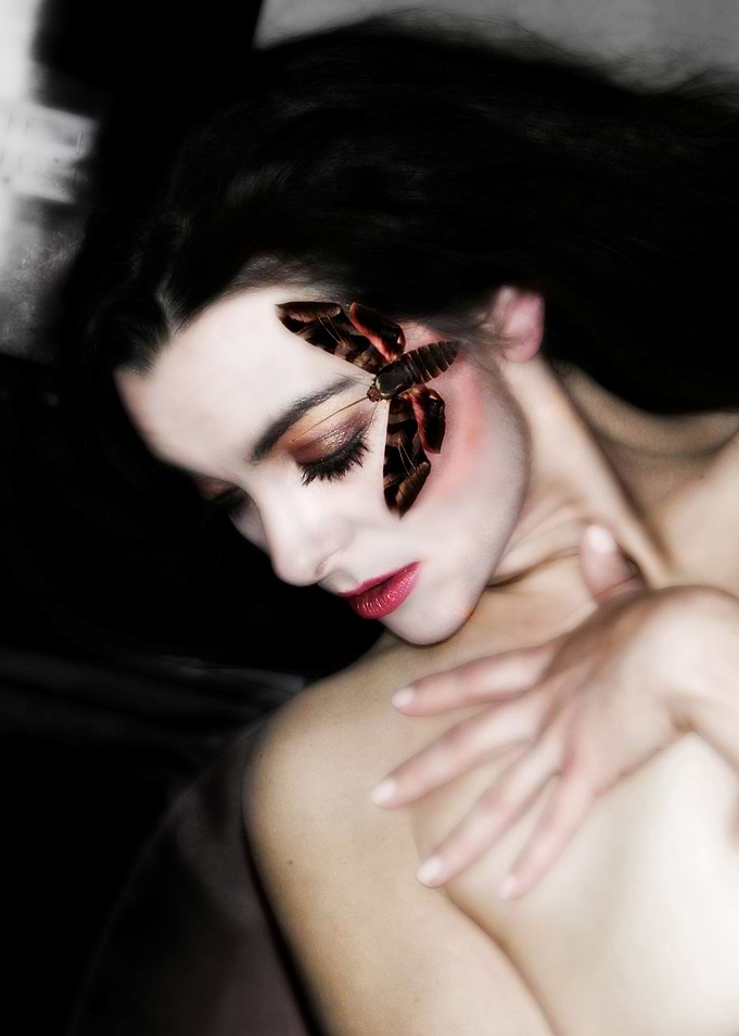 Moth