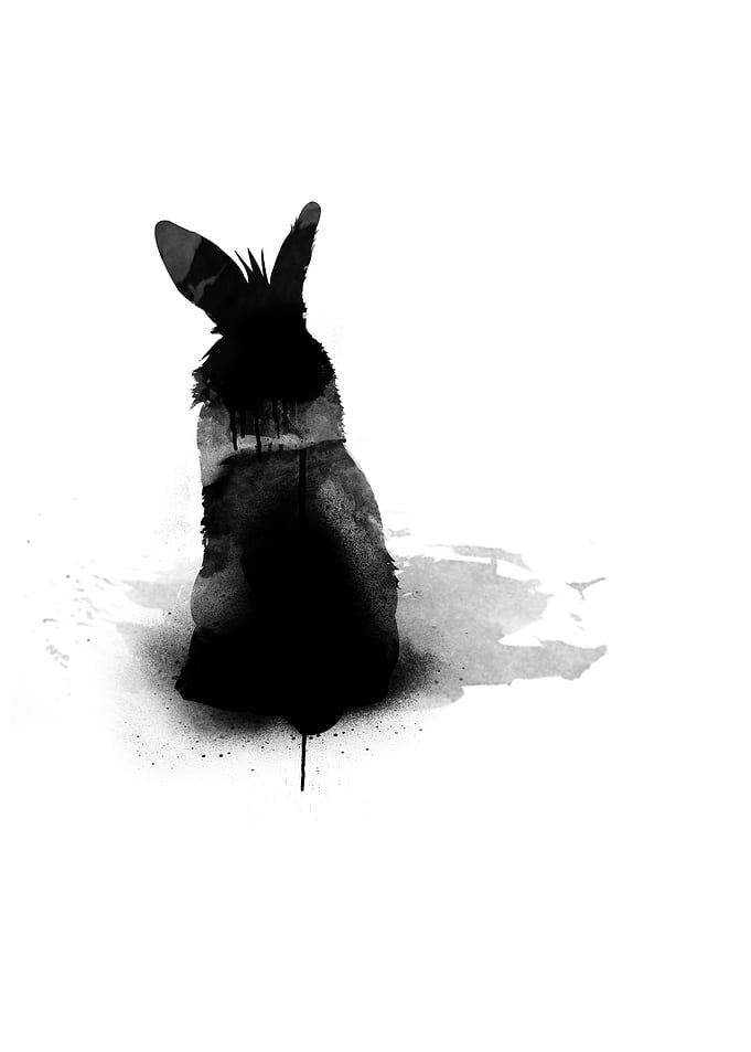 little bunny