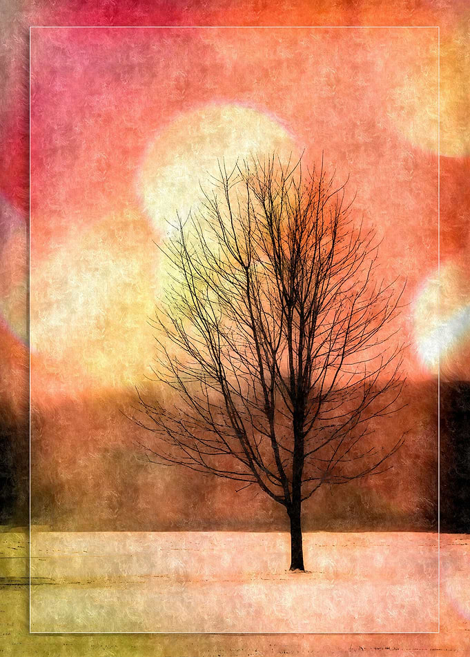 Tree Light