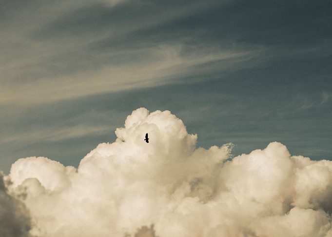 Boundless i