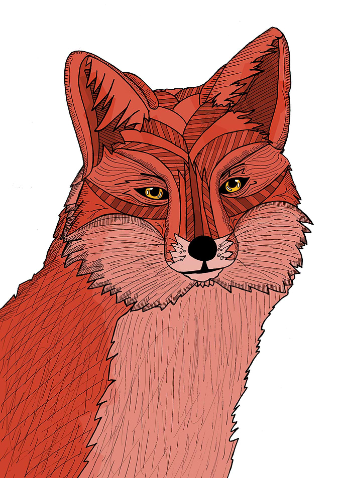 The Fox