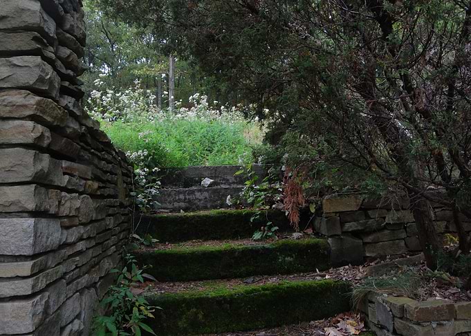Mossy Steps