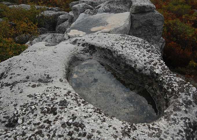 Ancient Footprint