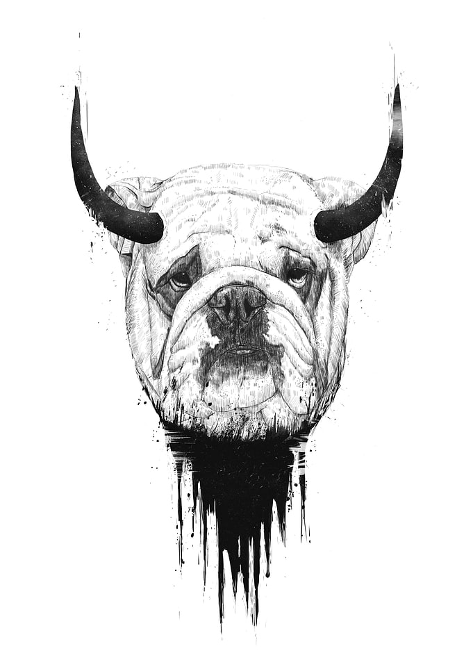Bulldog