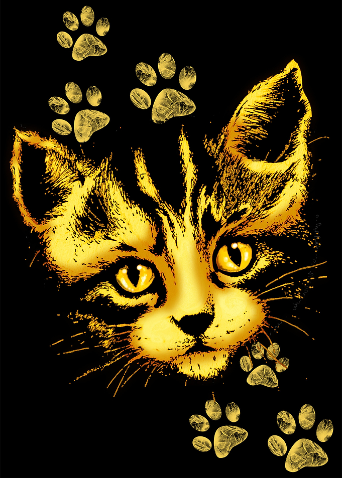 Cute Cat Portrait with Paws Prints