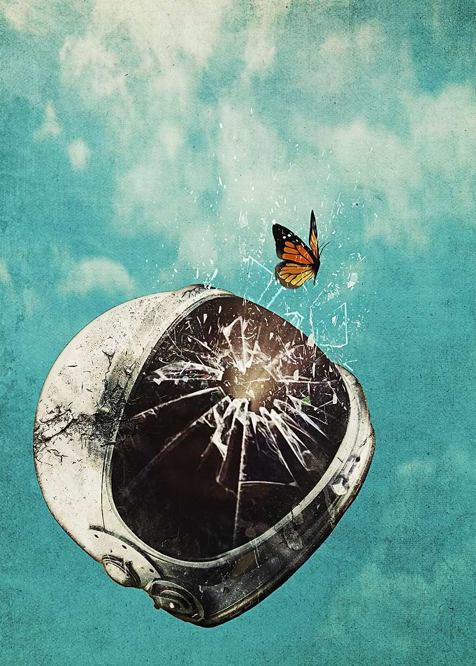 The Fall