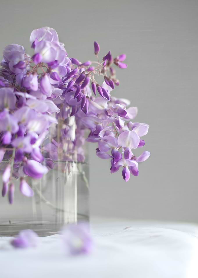 Delicate scent