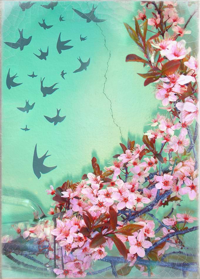 Inverted Flight of Swallows