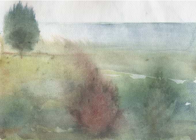 Tree hit by lightning strike (Part 2 Live paint)