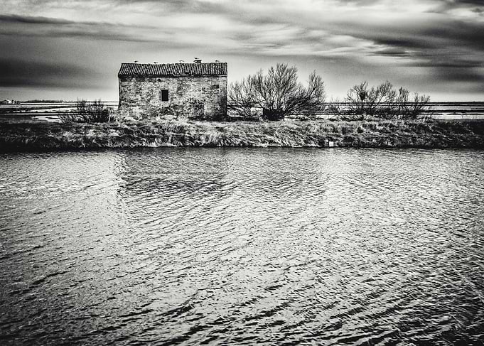 House of the Delta