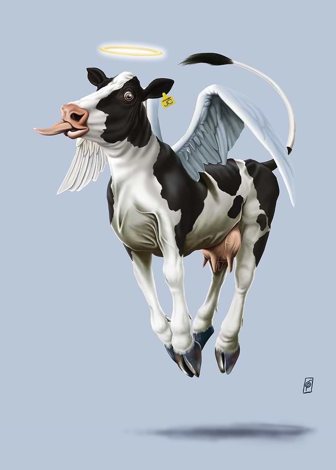 Holy Cow (Colour)