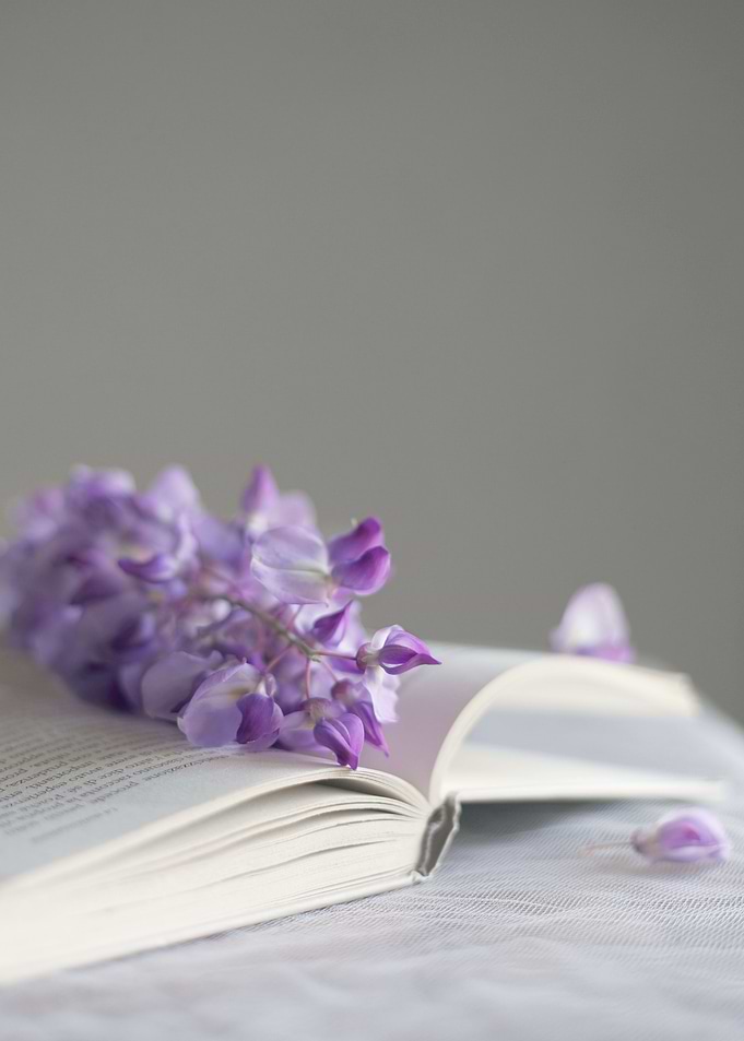 Romantic book