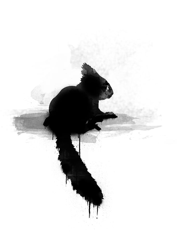 little squirrel