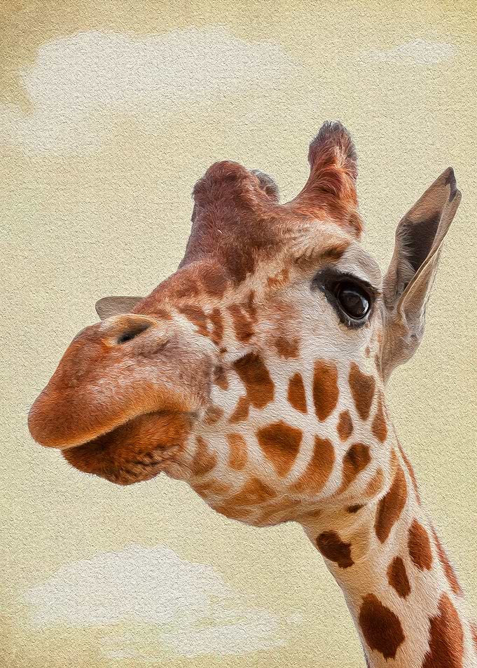 Up Close