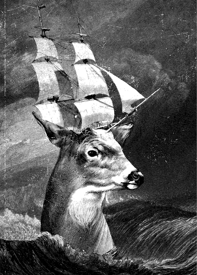 Set Sail