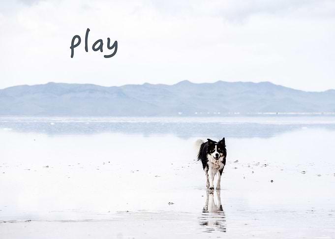 play