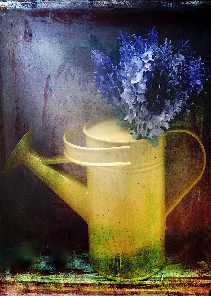 One Yellow watering can with violet flowers