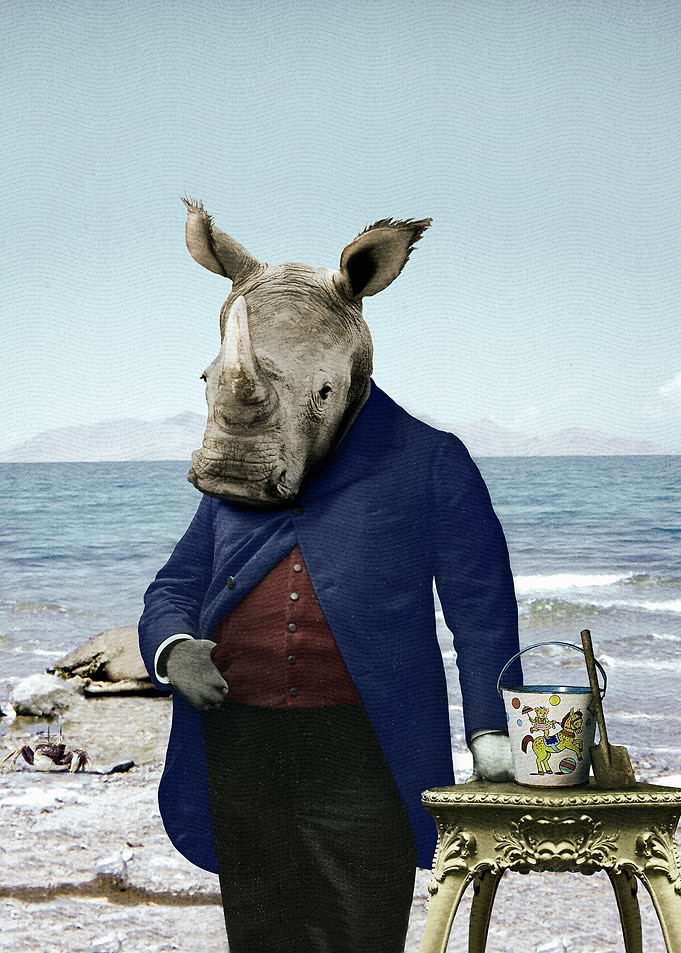 Mr. Rhino's Big Day