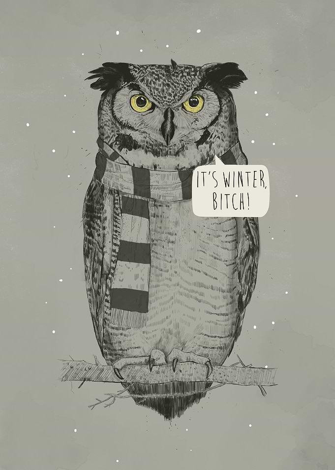 It's winter, bitch!
