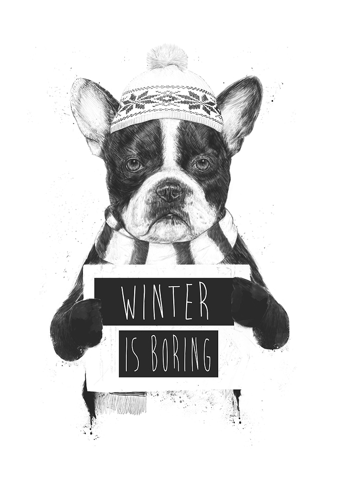 Winter is boring