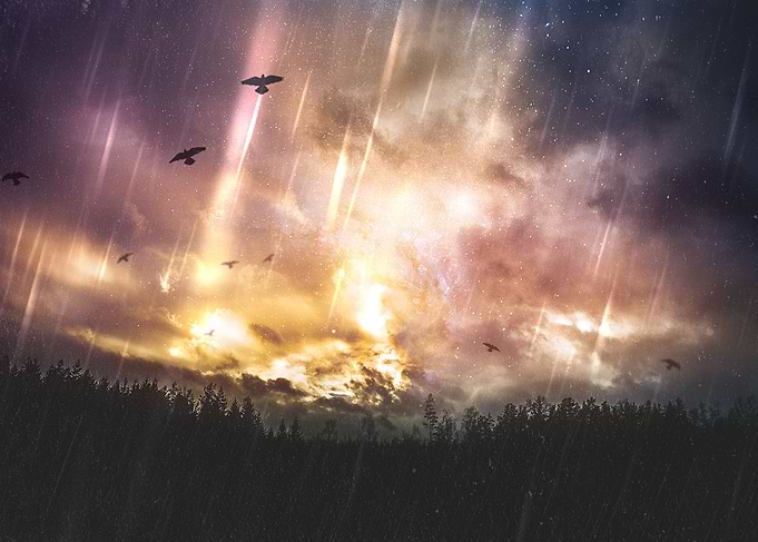 The stars where wrong