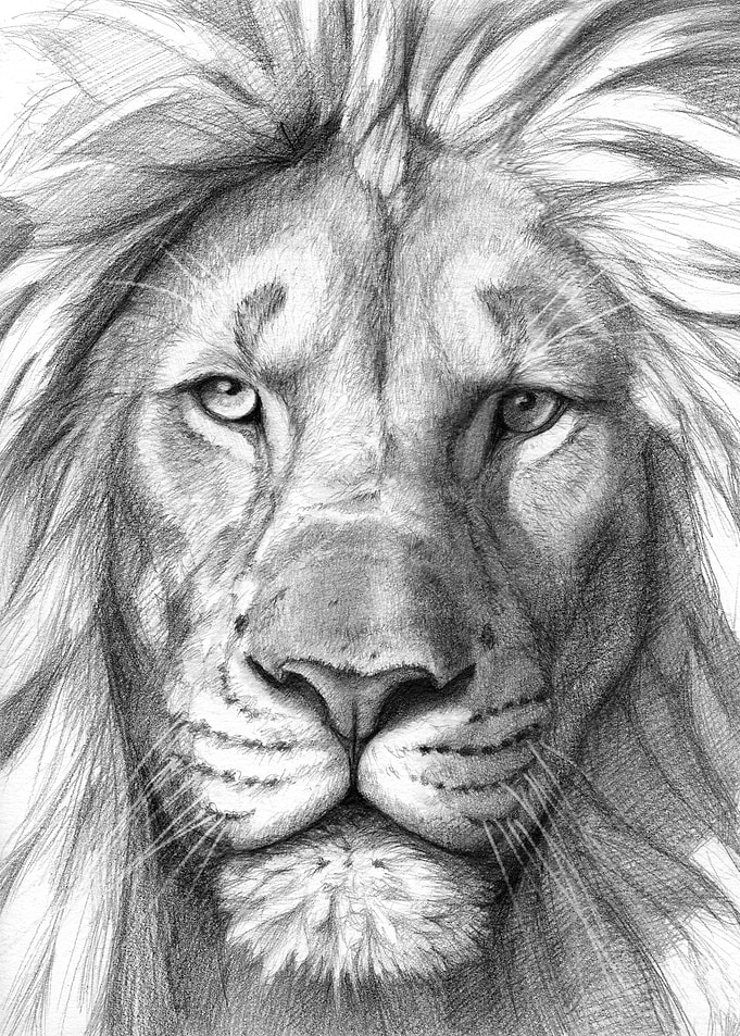 Lion G106
