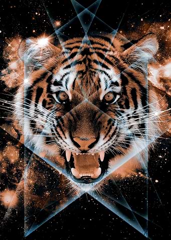 Another study in my digital art series, Beautiful Symme ...