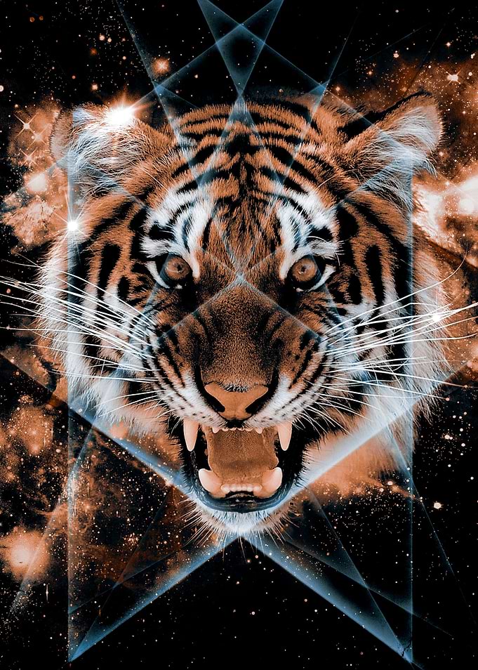 Another study in my digital art series, Beautiful Symme ...