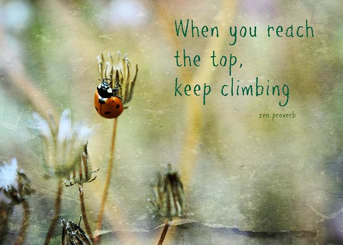 Zen Proverbs When you reach the top, keep climbing. Th ...