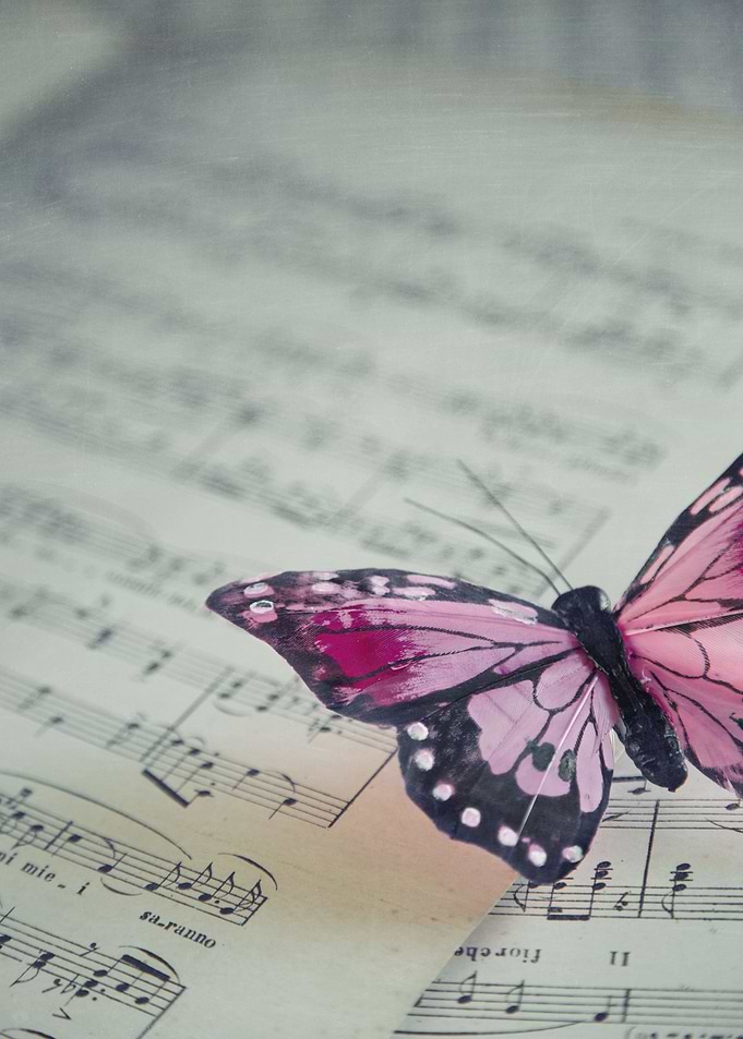 Dance of butterfly