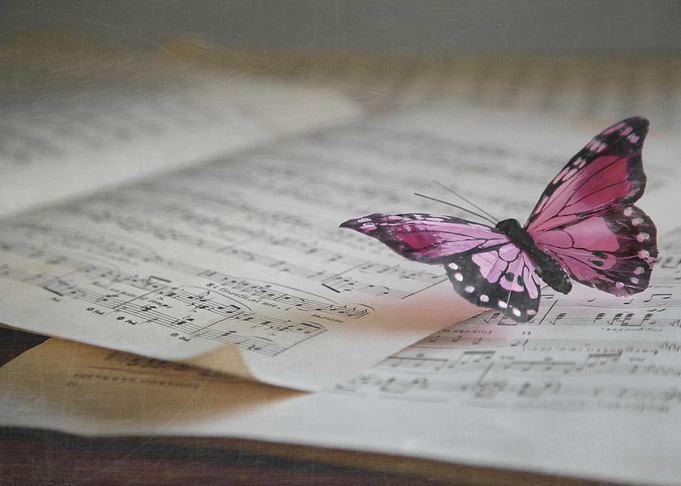 Into the music