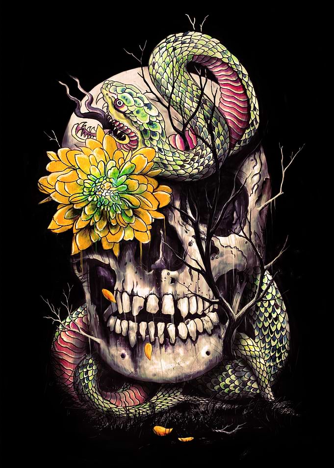 Snake and Skull