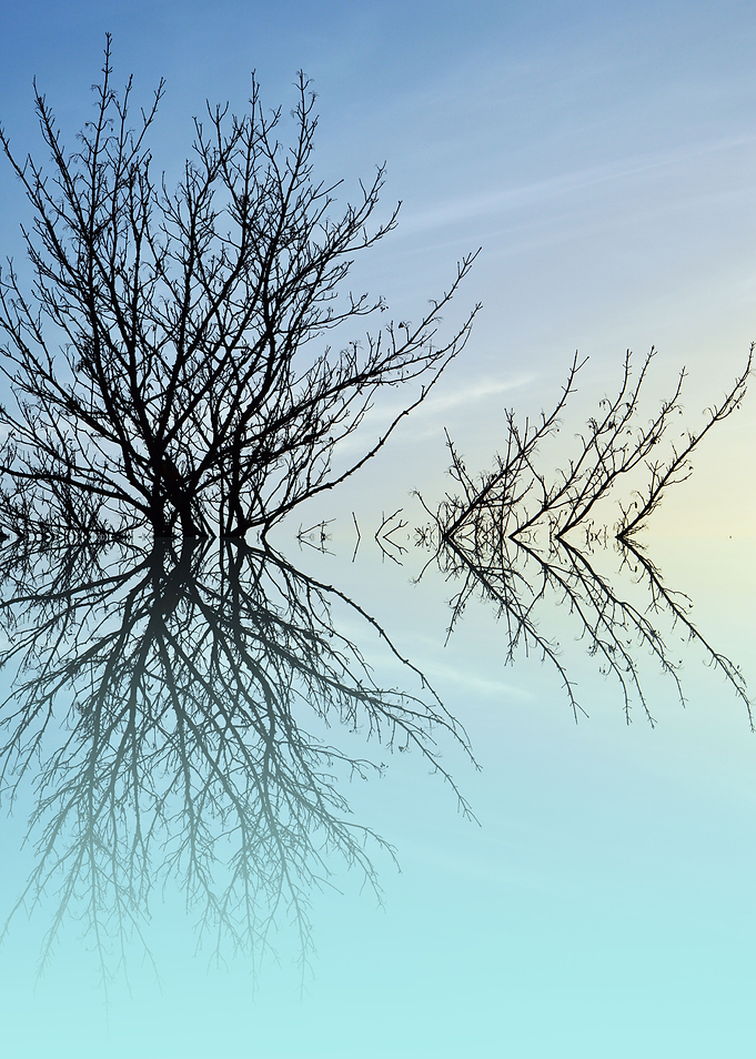 Twiglets