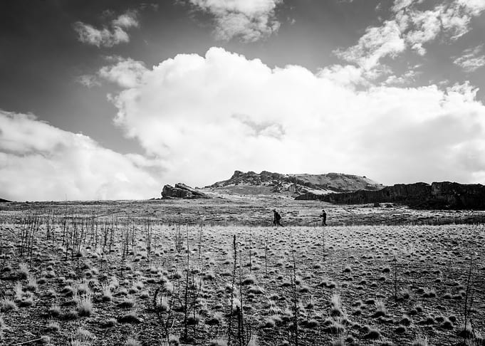Along the ridge