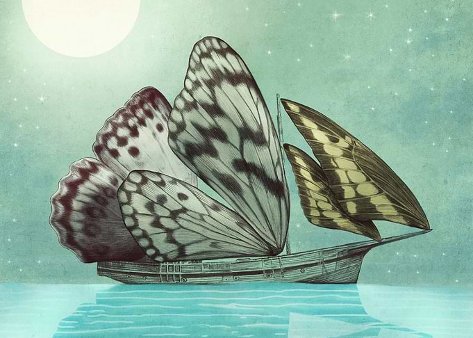 The Voyage
