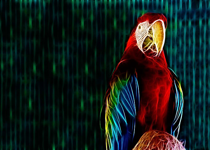 Fractal macaw
