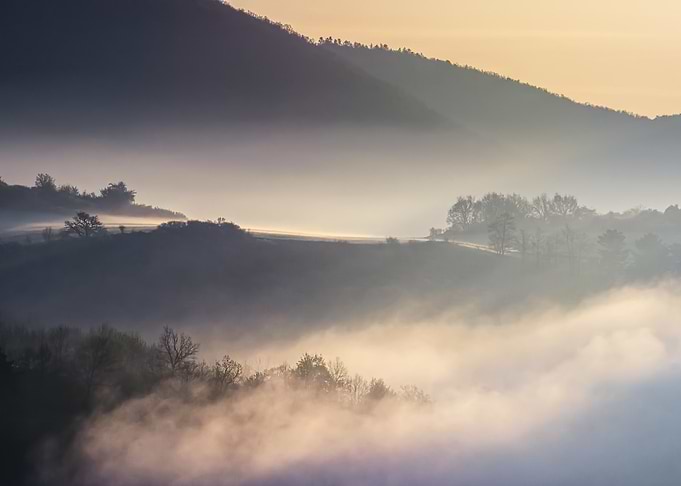 The Foggy Land