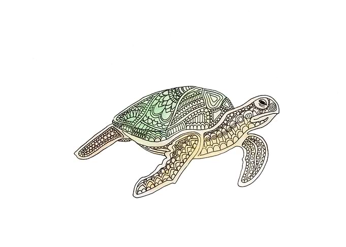 Tortuga