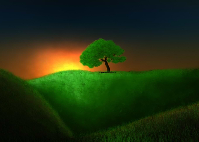 The Sunrise